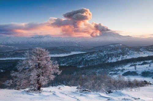 Webcams Volcano Kizimen (Kamchatka)