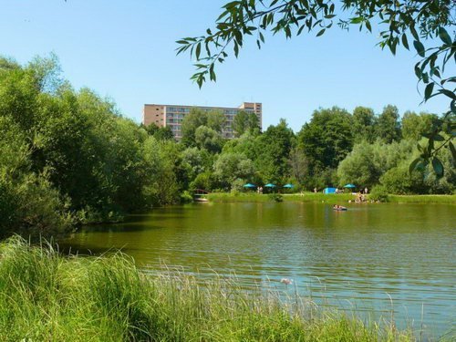 Webcams Aleshkovo village, Vorobyovo Sanatorium